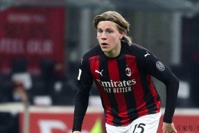 九游电脑版下载地址-TES带队取胜！，哈兰德重要时刻表现优异观众掌声雷动(哈兰德是哪个俱乐部的)